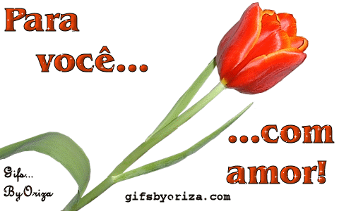 gifs-by-oriza-tulipa-flor.gif