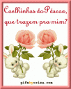 Coelhinho da Pscoa...